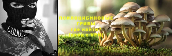 гидропоника Зеленодольск